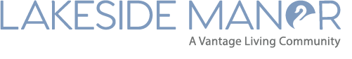 logo%20for%20lsm_d7d87fa3-bc76-4410-ae99-b6adb6b72360.png