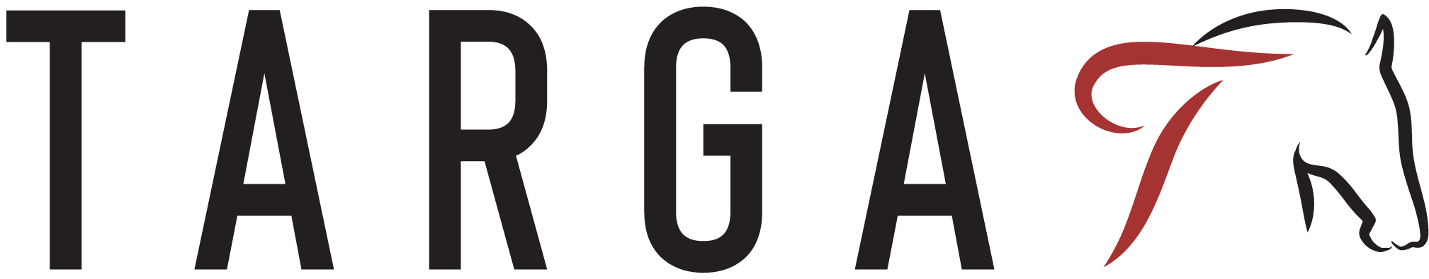 logo_48e8e5e0-4816-4682-9857-880c659e3f09.png
