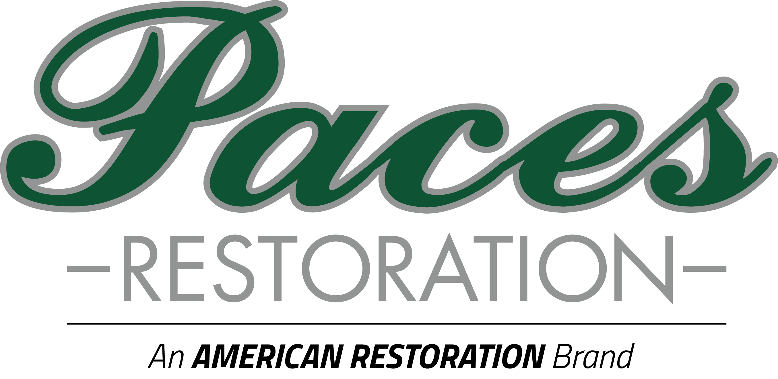 new%20paces%20logo_3a3707a3-3197-4745-b48d-7b7355596556.png
