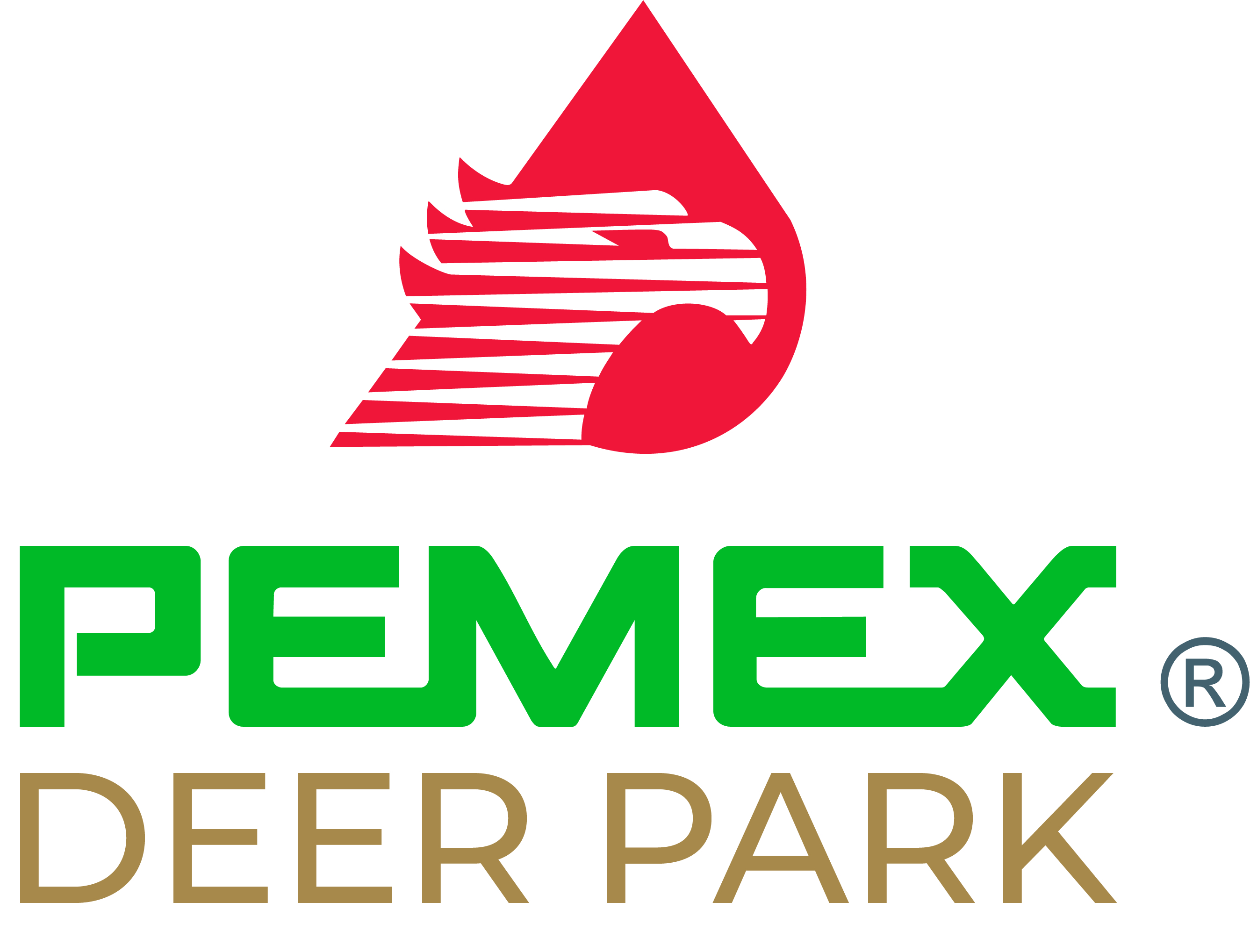 pemex%20deer%20park%20logo%20do%20not%20modify_cb504d1e-d5be-47b5-a92a-49c731d64100.jpg