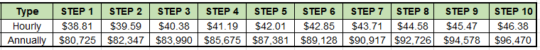 police%20pay%20plan%20snapshot_cbe163b3-7588-4186-8162-222f882415b7.png